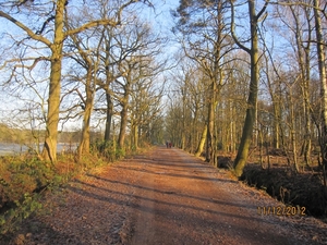 11-12-2012 Schoten Zeurt 007