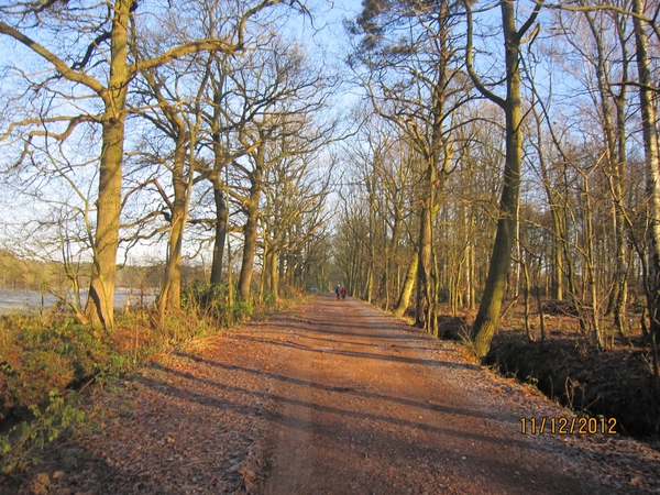 11-12-2012 Schoten Zeurt 007