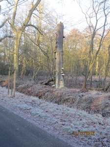 11-12-2012 Schoten Zeurt 014