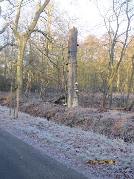 11-12-2012 Schoten Zeurt 014