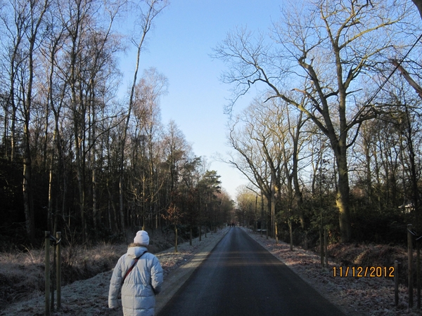 11-12-2012 Schoten Zeurt 015