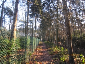 11-12-2012 Schoten Zeurt 020