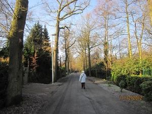 11-12-2012 Schoten Zeurt 029