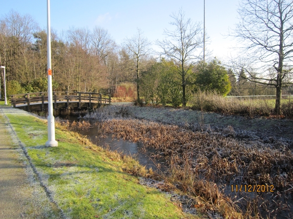 11-12-2012 Schoten Zeurt 041