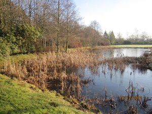 11-12-2012 Schoten Zeurt 043