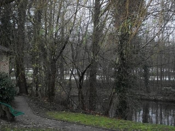 12-Vijver aan pastorie