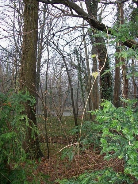 22-Plantentuin Meise