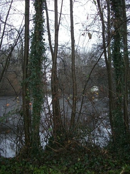 23-Plantentuin Meise