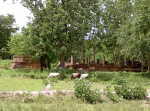 Thailand - Sukhothai Historical Park  mei 2009 (7)