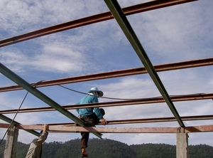 Thailand - Chiang mai - look at the tea plantation mei 2009 (21)