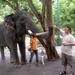 Thailand - Chiang mai zoo mei 2009 (139)