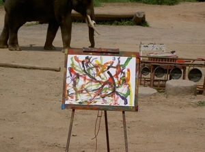 Thailand - Chiang mai- elephant show in Elephant nature park mei