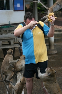 Thailand - Hua Hin Monkey Island mei 2009 (17)