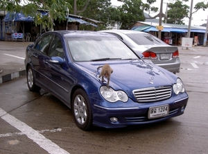 Thailand - Hua Hin Monkey Island mei 2009 (2)