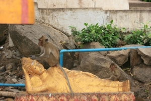 Thailand - Hua Hin Monkey Island mei 2009 (32)