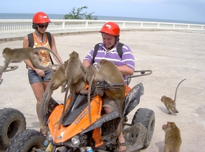 Thailand - Hua Hin Monkey Island mei 2009 (36)