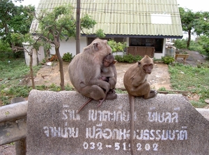 Thailand - Hua Hin Monkey Island mei 2009 (40)
