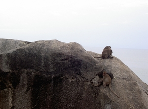 Thailand - Hua Hin Monkey Island mei 2009 (42)