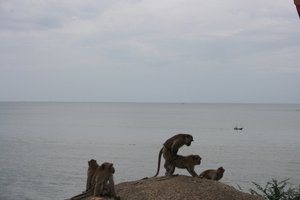 Thailand - Hua Hin Monkey Island mei 2009 (43)