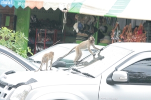 Thailand - Hua Hin Monkey Island mei 2009 (5)