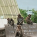 Thailand - Hua Hin Monkey Island mei 2009 (51)