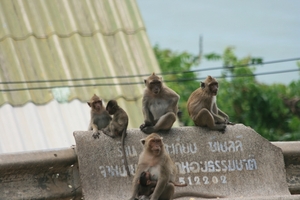Thailand - Hua Hin Monkey Island mei 2009 (51)