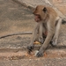 Thailand - Hua Hin Monkey Island mei 2009 (66)