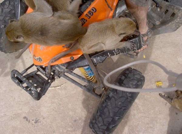 Thailand - Hua Hin -Cha-am  quad ride - mei 2009 (16)