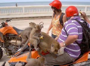 Thailand - Hua Hin -Cha-am  quad ride - mei 2009 (25)