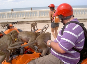 Thailand - Hua Hin -Cha-am  quad ride - mei 2009 (26)