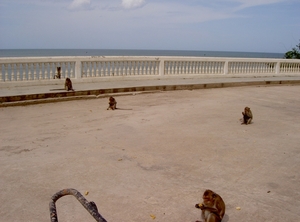 Thailand - Hua Hin -Cha-am  quad ride - mei 2009 (28)