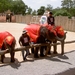 Thailand - Hua Hin -Cha-am  elephant show mei 2009 (1)