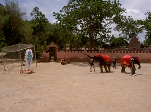 Thailand - Hua Hin -Cha-am  elephant show mei 2009 (13)