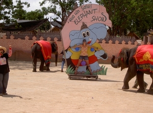 Thailand - Hua Hin -Cha-am  elephant show mei 2009 (19)
