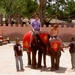 Thailand - Hua Hin -Cha-am  elephant show mei 2009 (2)