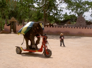 Thailand - Hua Hin -Cha-am  elephant show mei 2009 (21)