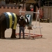 Thailand - Hua Hin -Cha-am  elephant show mei 2009 (29)