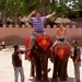 Thailand - Hua Hin -Cha-am  elephant show mei 2009 (3)