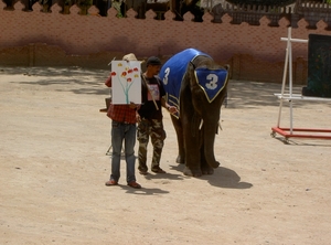 Thailand - Hua Hin -Cha-am  elephant show mei 2009 (32)