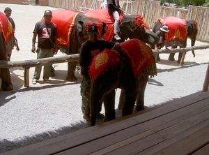 Thailand - Hua Hin -Cha-am  elephant show mei 2009 (5)