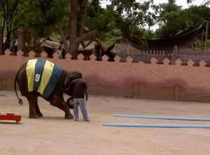 Thailand - Hua Hin -Cha-am  elephant show mei 2009 (53)