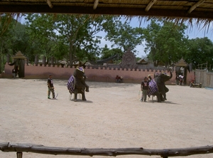 Thailand - Hua Hin -Cha-am  elephant show mei 2009 (59)