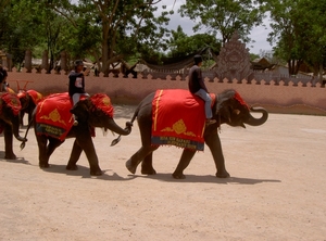 Thailand - Hua Hin -Cha-am  elephant show mei 2009 (8)