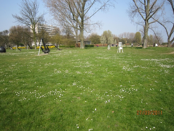 stroboeren wandeling 26-3-2011 linkeroever 037