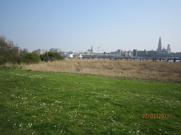 stroboeren wandeling 26-3-2011 linkeroever 044