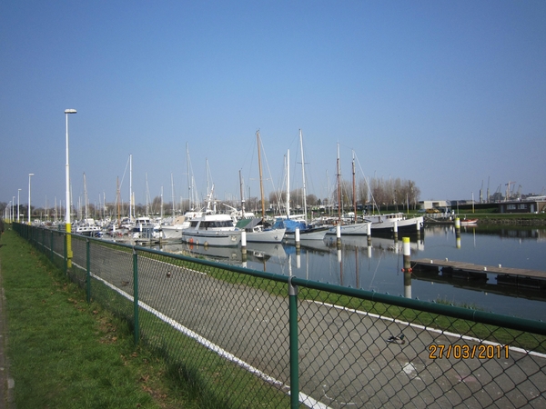 stroboeren wandeling 26-3-2011 linkeroever 055