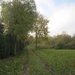 Turnhout Zevendonk 11-11-2012 012