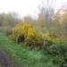 Turnhout Zevendonk 11-11-2012 013