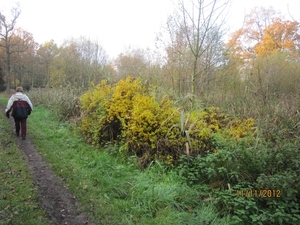 Turnhout Zevendonk 11-11-2012 013