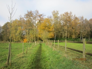 Turnhout Zevendonk 11-11-2012 018